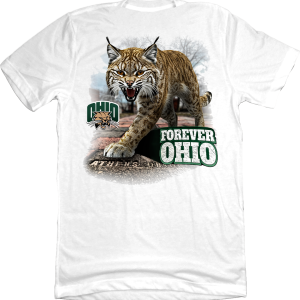 Ohio University Forever Ohio Bobcat Brick Walk 2 Ohio University Forever Ohio Bobcat Brick Walk 3