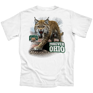 Ohio University Forever Ohio Bobcat Brick Walk 4 Ohio University Forever Ohio Bobcat Brick Walk 5