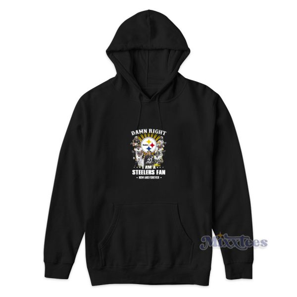 Pittsburgh Steelers Fan Now And Forever Hoodie