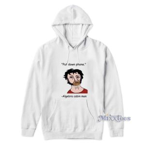 Put Down Phone Algebra Cabin Man Hoodie 2