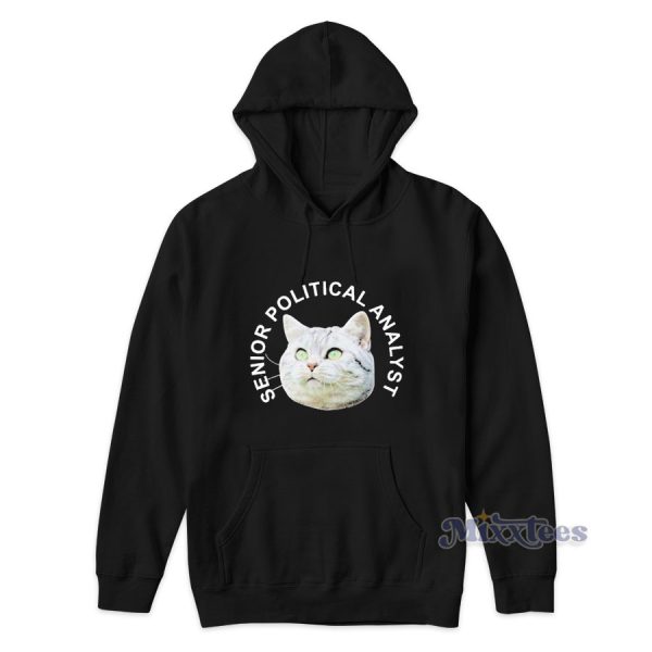 Senior Political Analyst Hoodie for Unisex