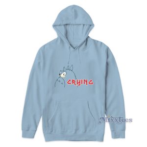 Sonic Crying Totoro Hoodie For Unisex 1