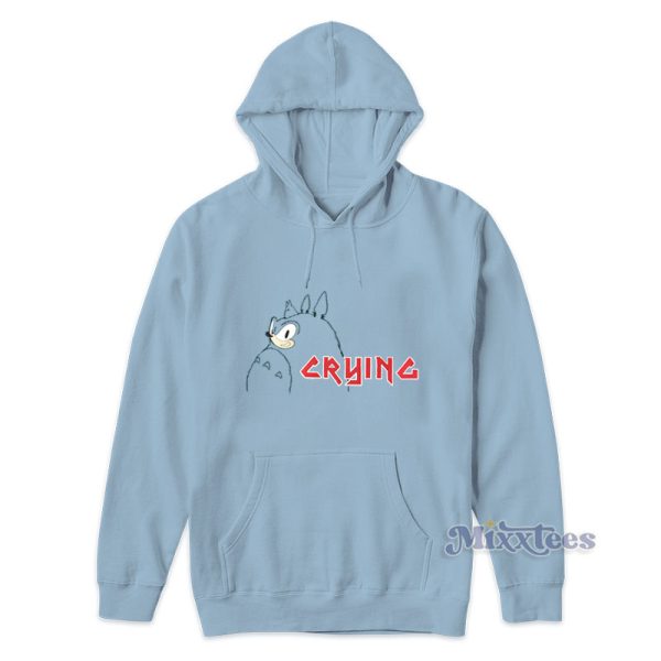 Sonic Crying Totoro Hoodie For Unisex