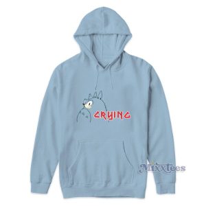 Sonic Crying Totoro Hoodie For Unisex 1 Sonic Crying Totoro Hoodie For Unisex 2