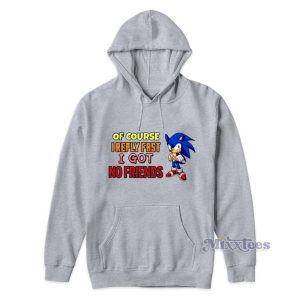 Sonic Of Course I Reply Fast I Got Friends Hoodie 1