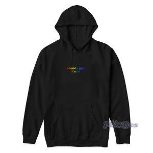 Sounds Gay Im In Hoodie For Unisex 1