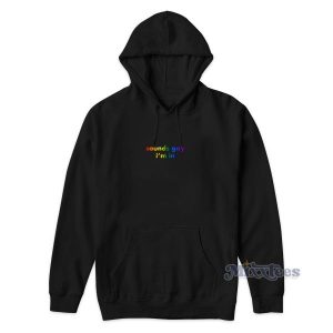 Sounds Gay Im In Hoodie For Unisex 2