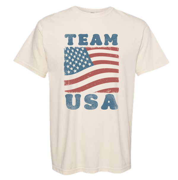 Team USA Flag Tee