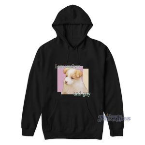 Useless And Gay Hoodie Useless And Gay Hoodie