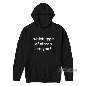 Which Type Of Stereo Are You Hoodie for Unisex 2