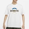 12-15 Domestic Beers Would Fix Me T-Shirt