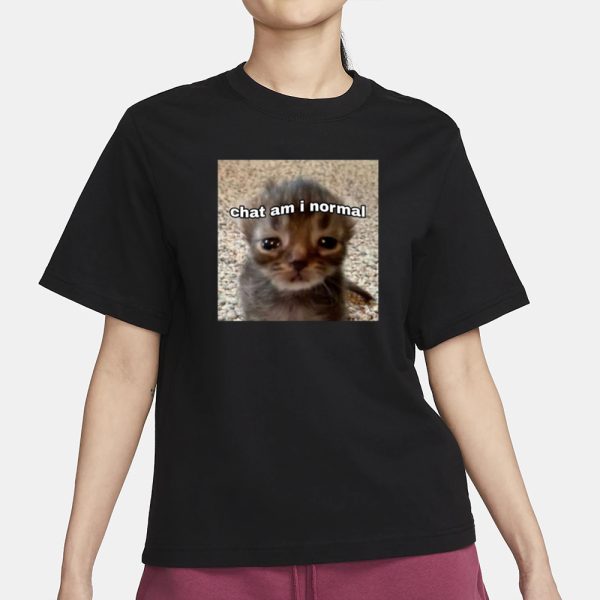 Cringeytees Chat Am I Normal T-Shirt