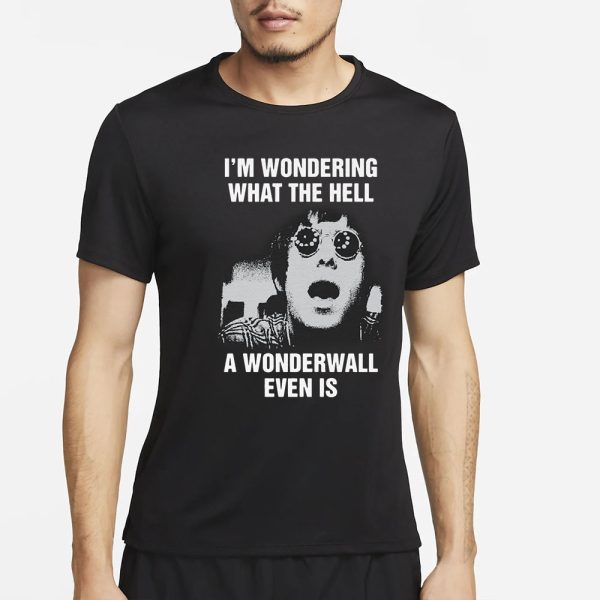 I’m Wondering What The Hell A Wonderwall Even Is T-Shirt