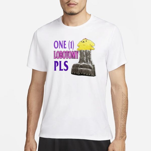 Jmcgg Pompompurin One 1 Lobotomy Pls T-Shirt