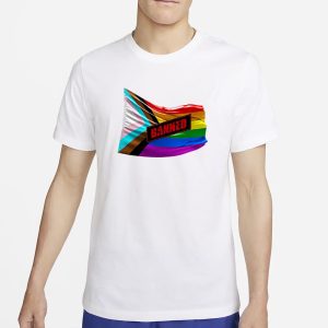 Pride Flags should be BANNED from Church Schools T Shirt 1