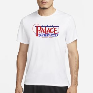 Sage Wearing The Palace Of Auburn Hills T Shirt 1