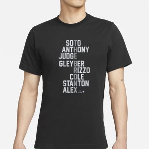 THE BRONX NAMES 2024 T SHIRT 1