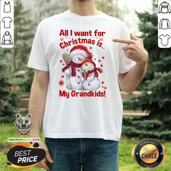 Great Snowman All I Want For Christmas Is My Grandkids Merry Christmas Shirt