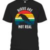 Birds Are Not Real Retro Vintage Conspiracy Theory T-Shirt