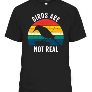 Birds Are Not Real Retro Vintage Conspiracy Theory T-Shirt