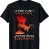 Cool Dragon Flame-Spewing Flying Mythical Creature T-Shirt