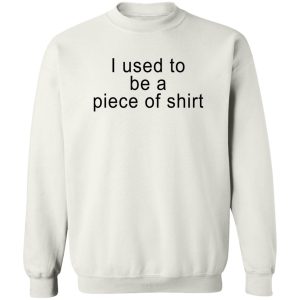 I Used To Be A Piece Of Shit Shirt