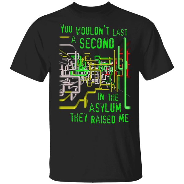 You Wouldn’t Last A Second In The Asylum They Raised Me Shirt