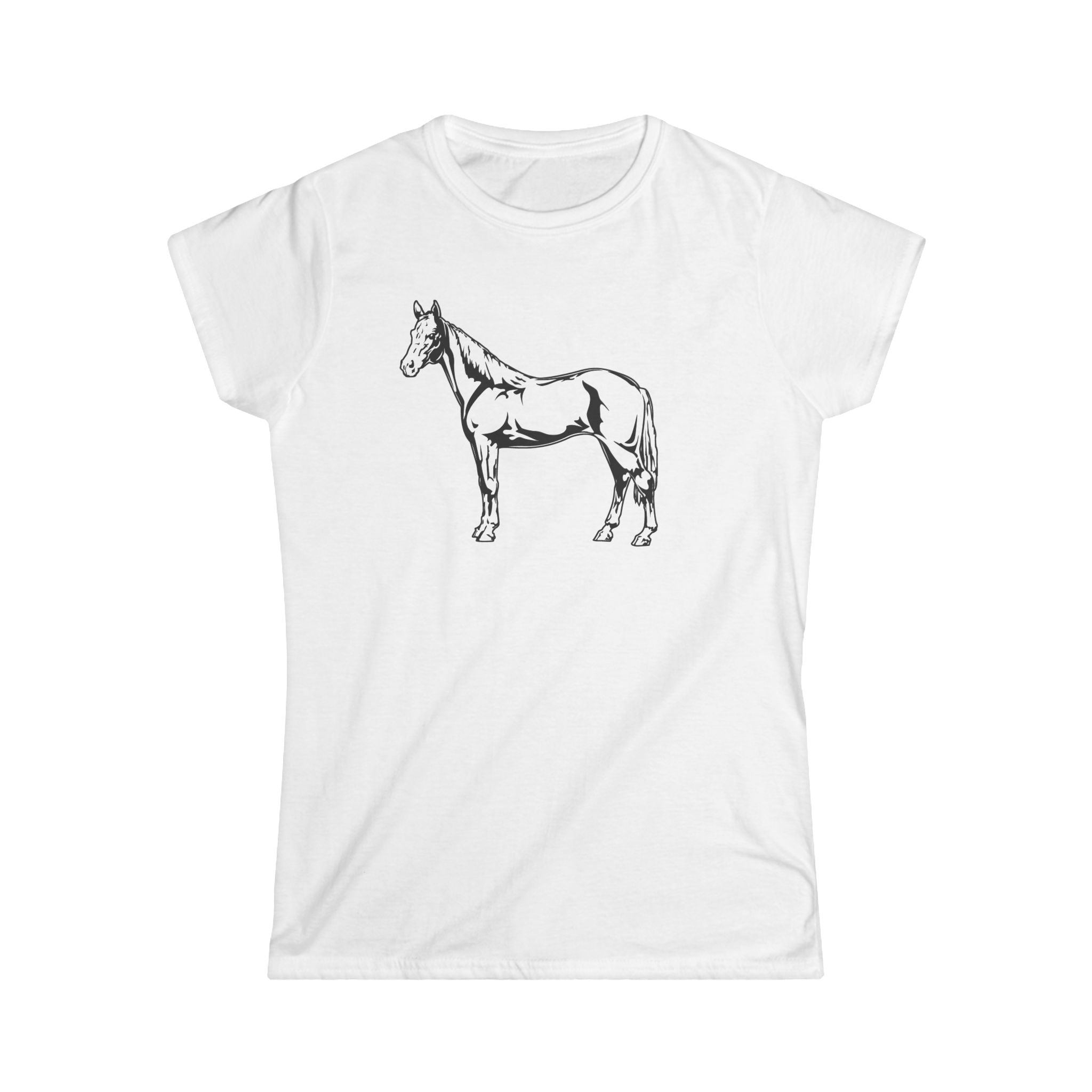 Land Seahorse Land Seahorse